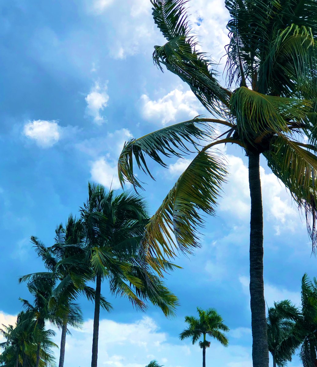 BlockchainGirll's tweet photo. So many reasons to love Miami! Congrats @btccentermiami on your new home! Your commitment to #Bitcoin is inspiring! Until next time... #btc #crypto #bitcoin #miami #miamibitcoincenter https://t.co/JqYon0zpnP