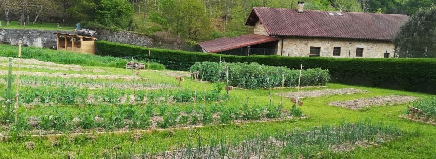 Revista Vida Nueva tweet media