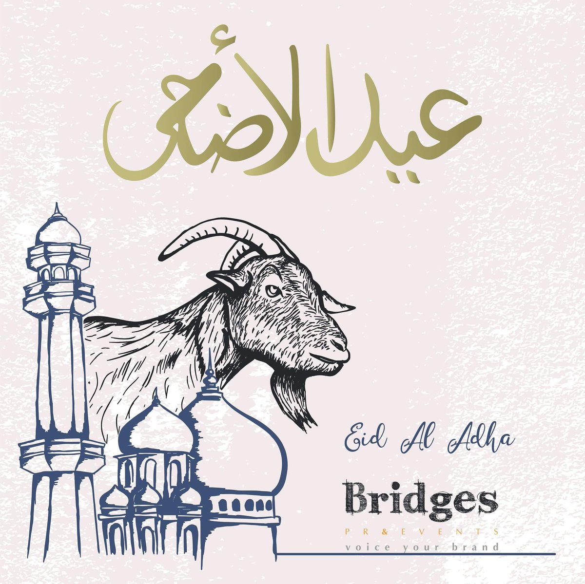 كل عام وأنتم بألف خير، ينعاد عليكم بالخير والبركة 

 🐑 أضحى مبارك 🐑