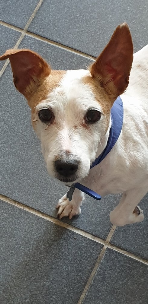 Sue Wild 71 tweet media