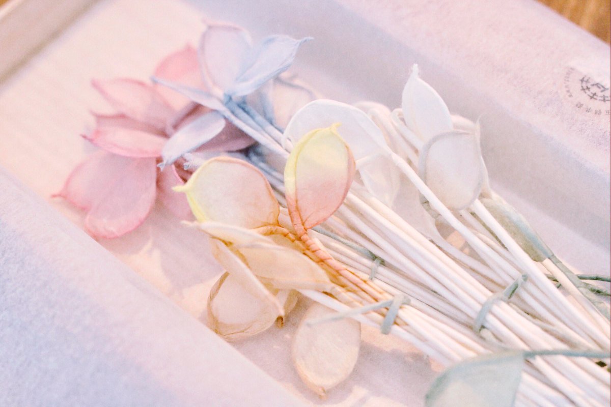 mameko_BLM's tweet photo. いただきものの線香花火がすっっっごく可愛いのみて、、、
美しい……儚い……ひとひらひとひらが花火なの……素敵すぎる………。。 https://t.co/2Bh62I9SsR