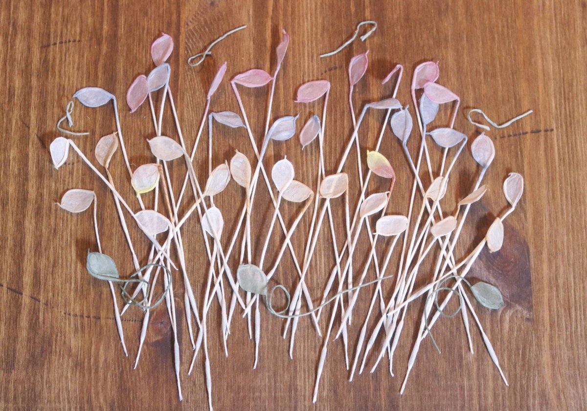 Mameko Sora いただきものの線香花火がすっっっごく可愛いのみて 美しい 儚い ひとひらひとひらが花火なの 素敵すぎる