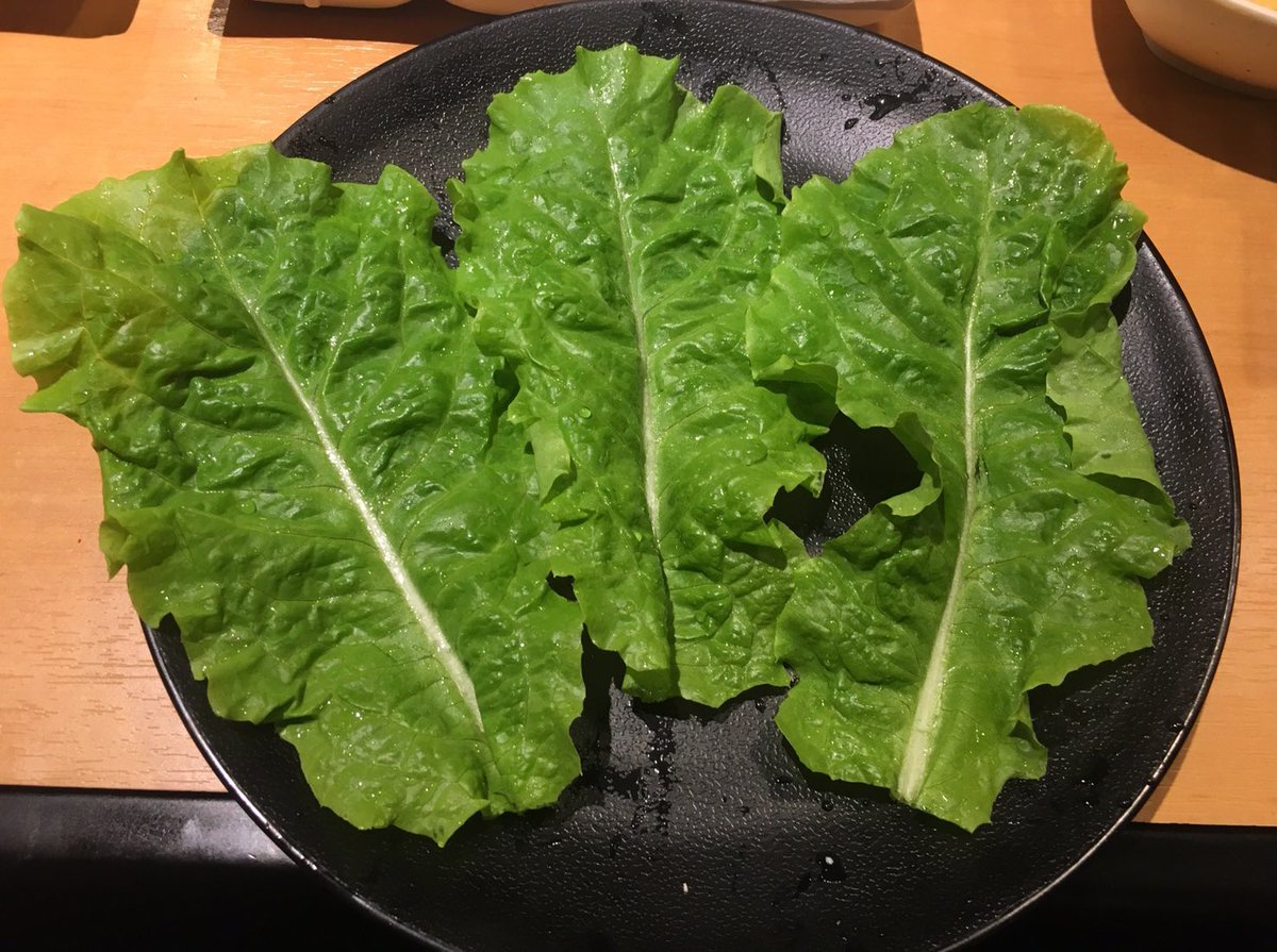 ndahoFischers's tweet photo. 明日の為に栄養補給
みんな大好きサンチュを1チュずつ配りました。俺の取り分は3チュ。
これで準備万端だぜ👍 https://t.co/NuJbToL0vK