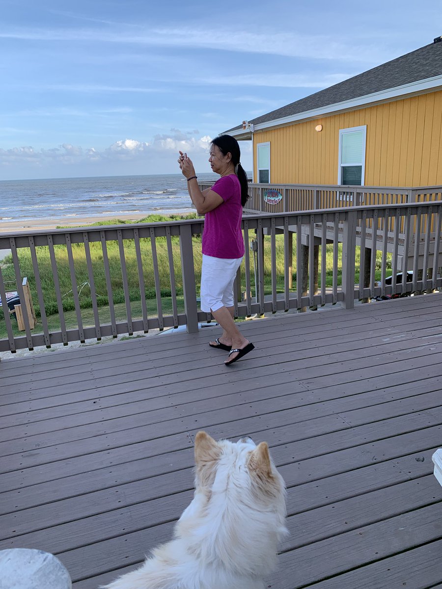 johnkmai's tweet photo. Kimchi’s first vacation/road trip/time at the “beach”! 🤠 https://t.co/FS10R4wzs2