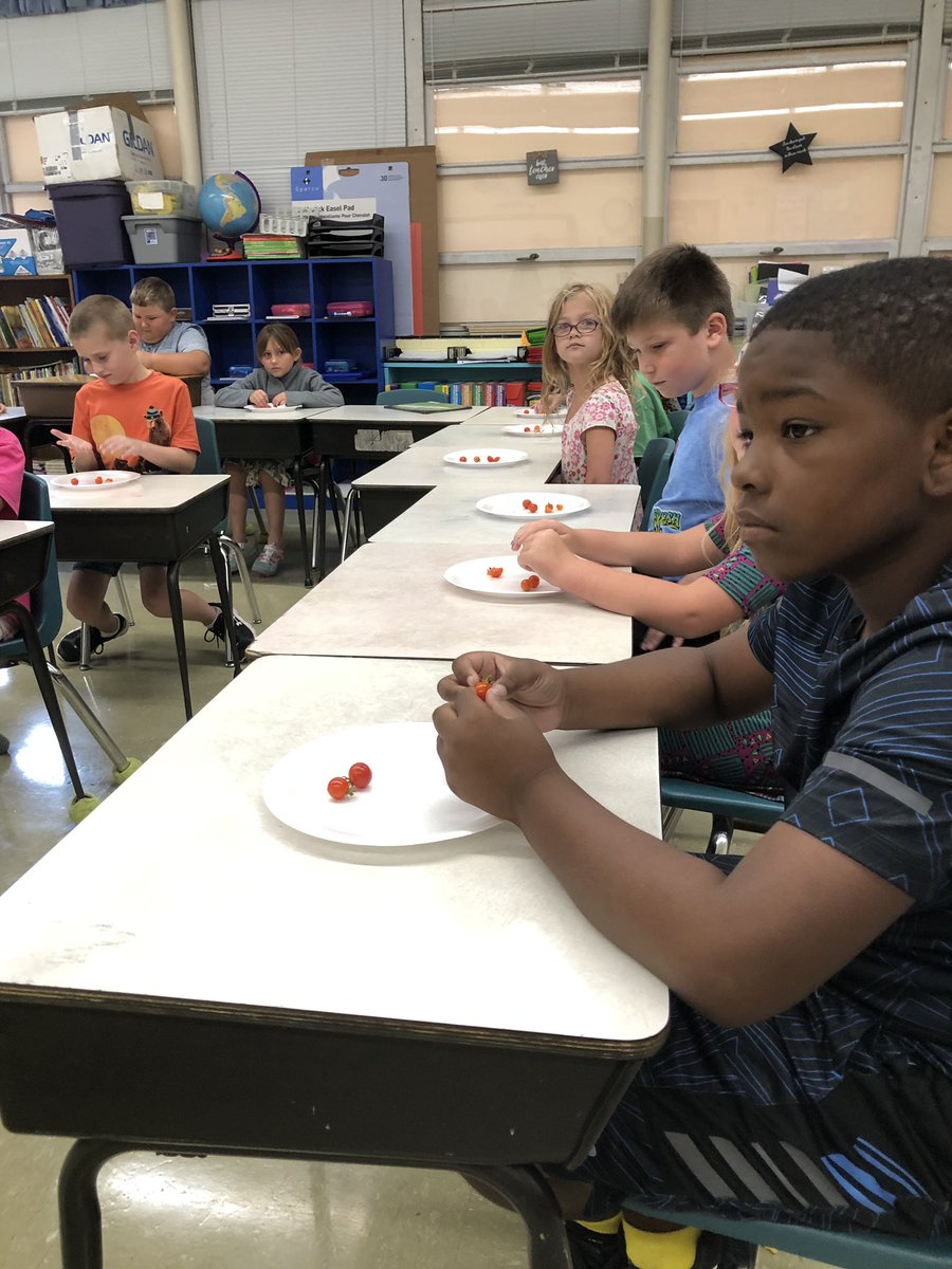 WeakleySchools's tweet photo. Second graders at #SharonSchool got a taste of the rewards from their sweat investment at their Friday harvest celebration. Teacher Danielle VanCleave oversaw planting project last spring. #FarmtoSchool #schoolfarm #WeakleyStrong https://t.co/LoKxSM5YLH