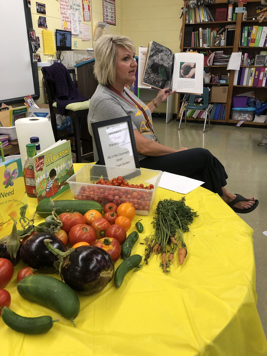 WeakleySchools's tweet photo. Second graders at #SharonSchool got a taste of the rewards from their sweat investment at their Friday harvest celebration. Teacher Danielle VanCleave oversaw planting project last spring. #FarmtoSchool #schoolfarm #WeakleyStrong https://t.co/LoKxSM5YLH