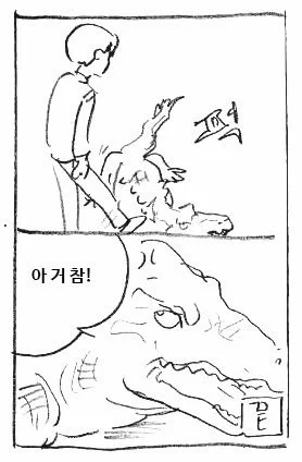 악어 