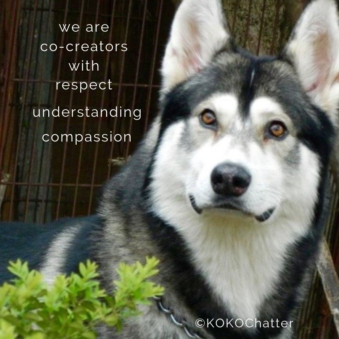 KOKOChatter's tweet photo. @KariJoys @mindfulheal @gary_hensel @arunbhar @LisaTruthJohns @gede_prama @BethFratesMD @Eldiablo0071 @aahana_iam @1228erin @pratoshnivedita @loveGoldenHeart @pkamla1  @Dianne__LadyD @rajeev_s108 @LadyWiseWorld #compassion #respect https://t.co/aEi2iv8CNG