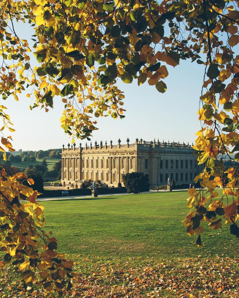 AxminsterUK's tweet photo. One of the finest stately homes in Britain, did you know that Chatsworth House is home to an Axminster carpet? ✨ @chatsworthofficial #axminstercarpets #britishdesign #beautifulhomes https://t.co/CSoPNg7ZFg