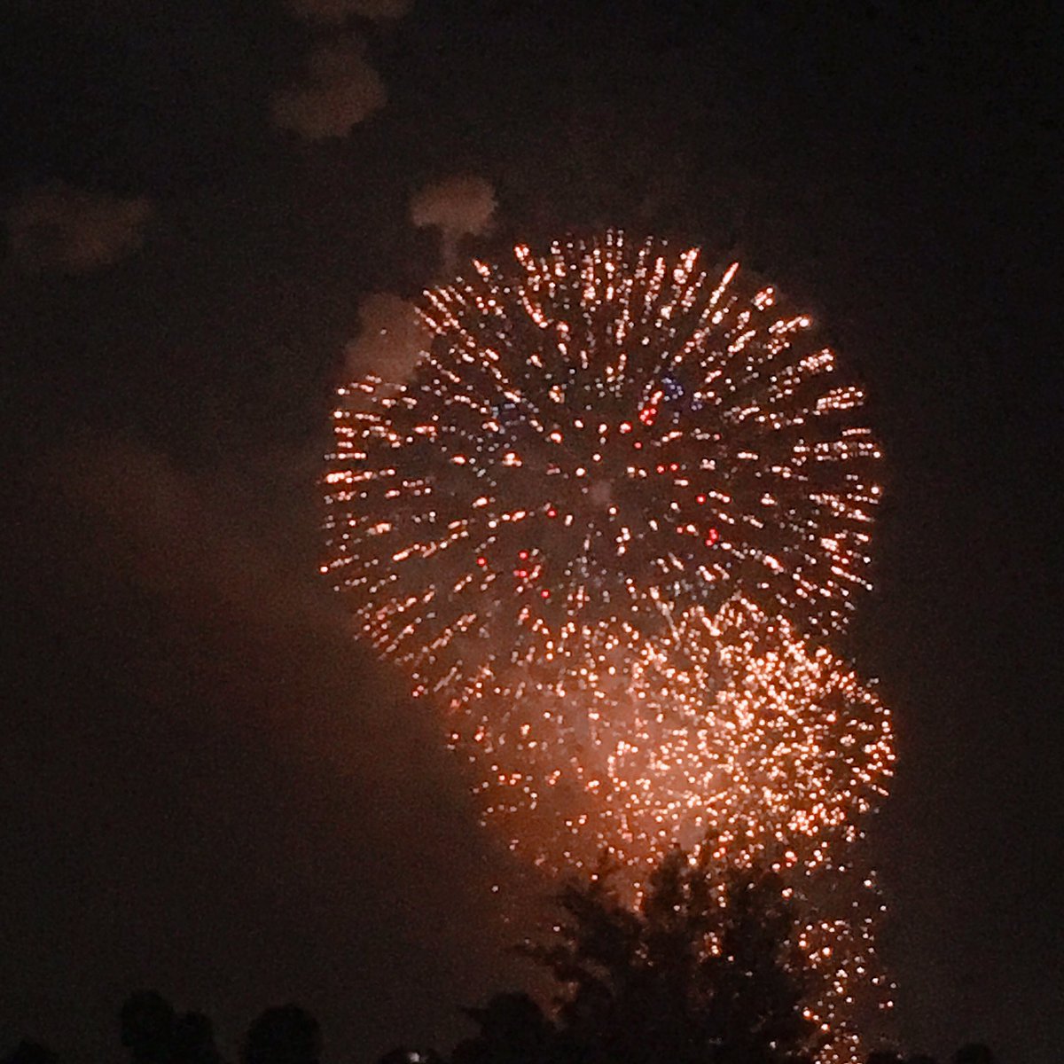 花火大きくて綺麗だった〜!(写真がめちゃくちゃへた)
ピンク色の花火が上がるたびにふふふとなるなど…? 