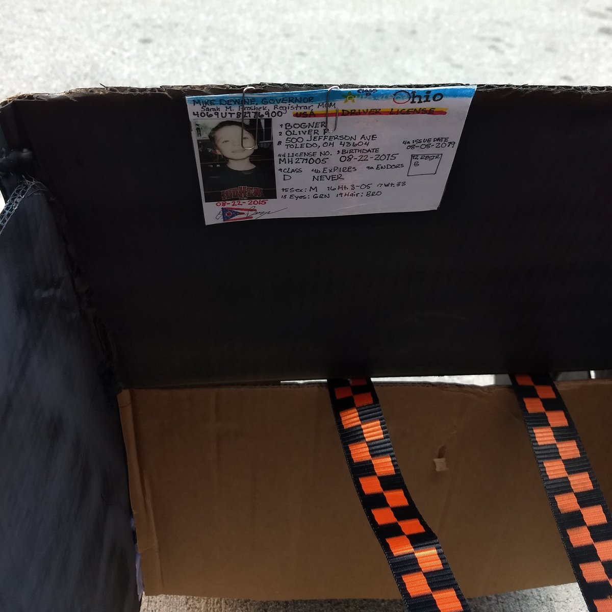 cpb_Bogs's tweet photo. Safety first: Ollie's got his ear protection on & his driver's license ready...
@ToledoJeepFest @DowntownToledo #ToledoJeepFest #JeepFest #Jeep #419Famous https://t.co/lghVSFkc1e