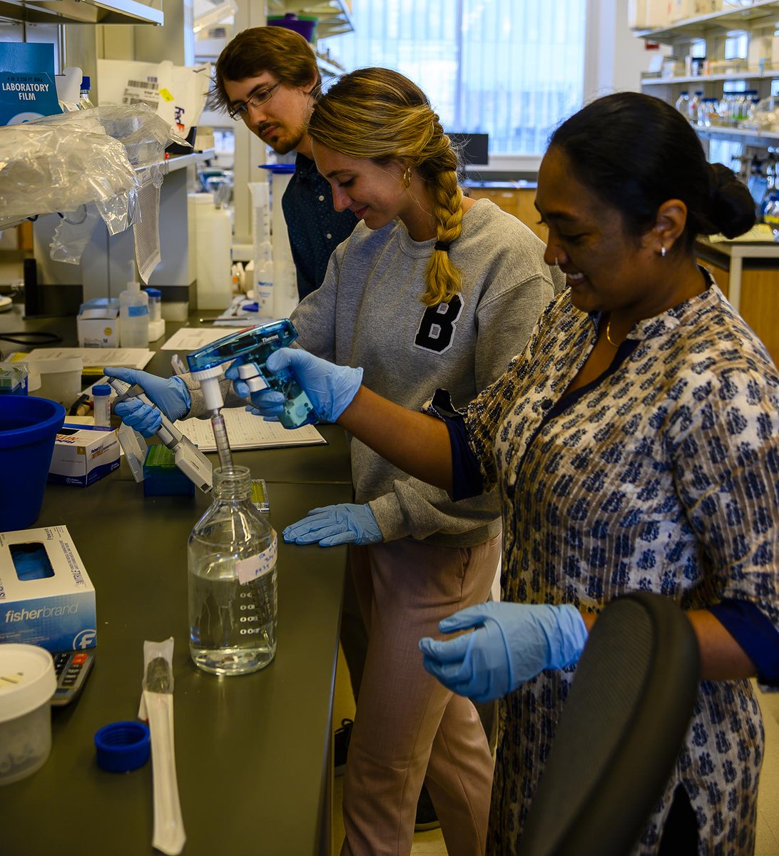 CCNYB3REU's tweet photo. @CCNYB3REU fellow Spring Smith researched allosteric inhibitors to the enzyme protein tyrosine phosphatase 1B. Mentored by @CityCollegeNY and @CCNYChem Prof. Daniel Keedy and Maryam Azeem. @GC_BiochemPhD @GC_CUNY @asrc_gc #CCNYB3REU2019 #NSFstories @GCsciences
@CUNYResearch. https://t.co/mhDawHNlo3