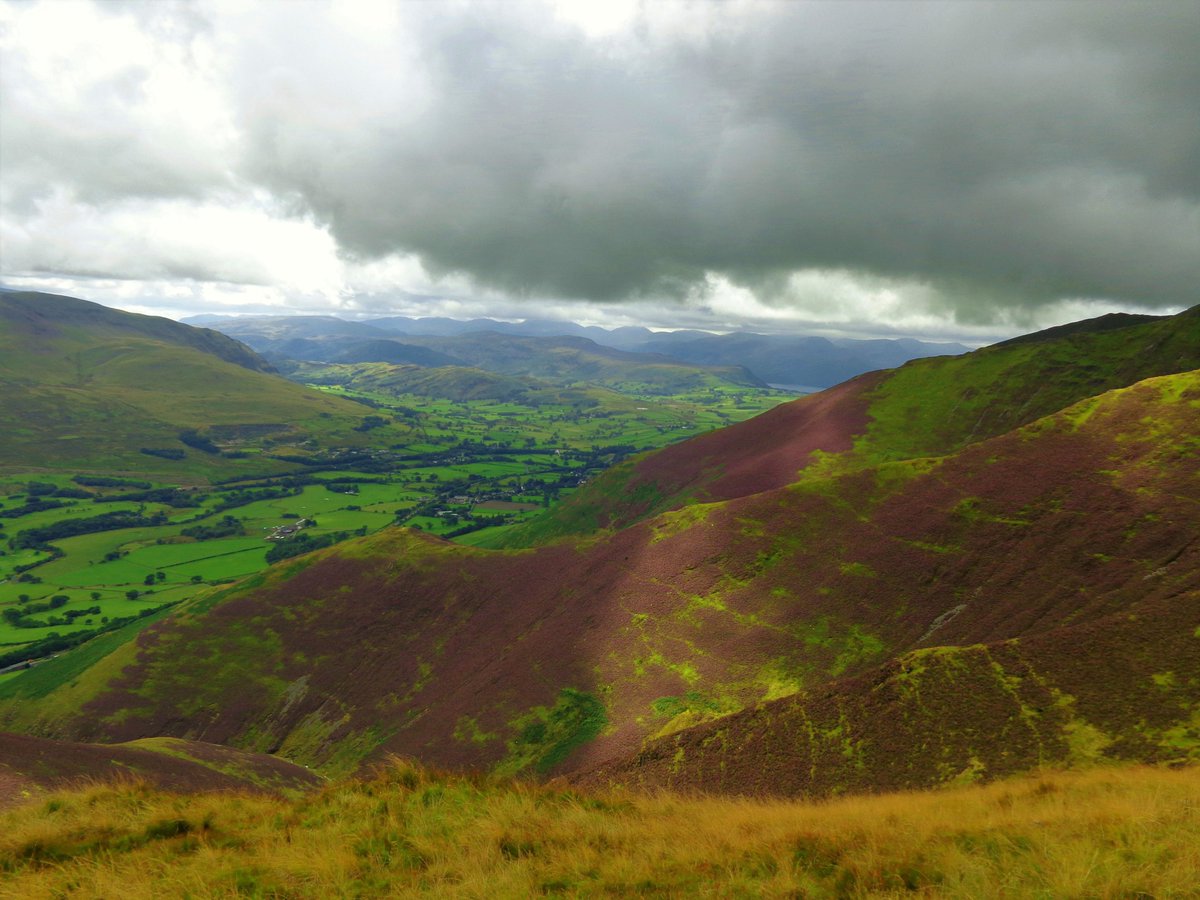 StanLeigh18's tweet photo. Poor weather today - some images to show off how #Lakeland looks on better days in #August
Heather displays at #DashValley near #Bakestall #LadHows route to #Grasmoor #Blencathra & #Mellbreak https://t.co/nNVyCbOd6s