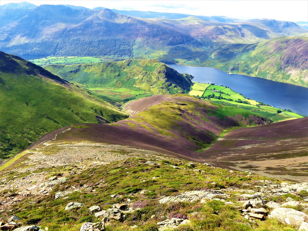 StanLeigh18's tweet photo. Poor weather today - some images to show off how #Lakeland looks on better days in #August
Heather displays at #DashValley near #Bakestall #LadHows route to #Grasmoor #Blencathra & #Mellbreak https://t.co/nNVyCbOd6s