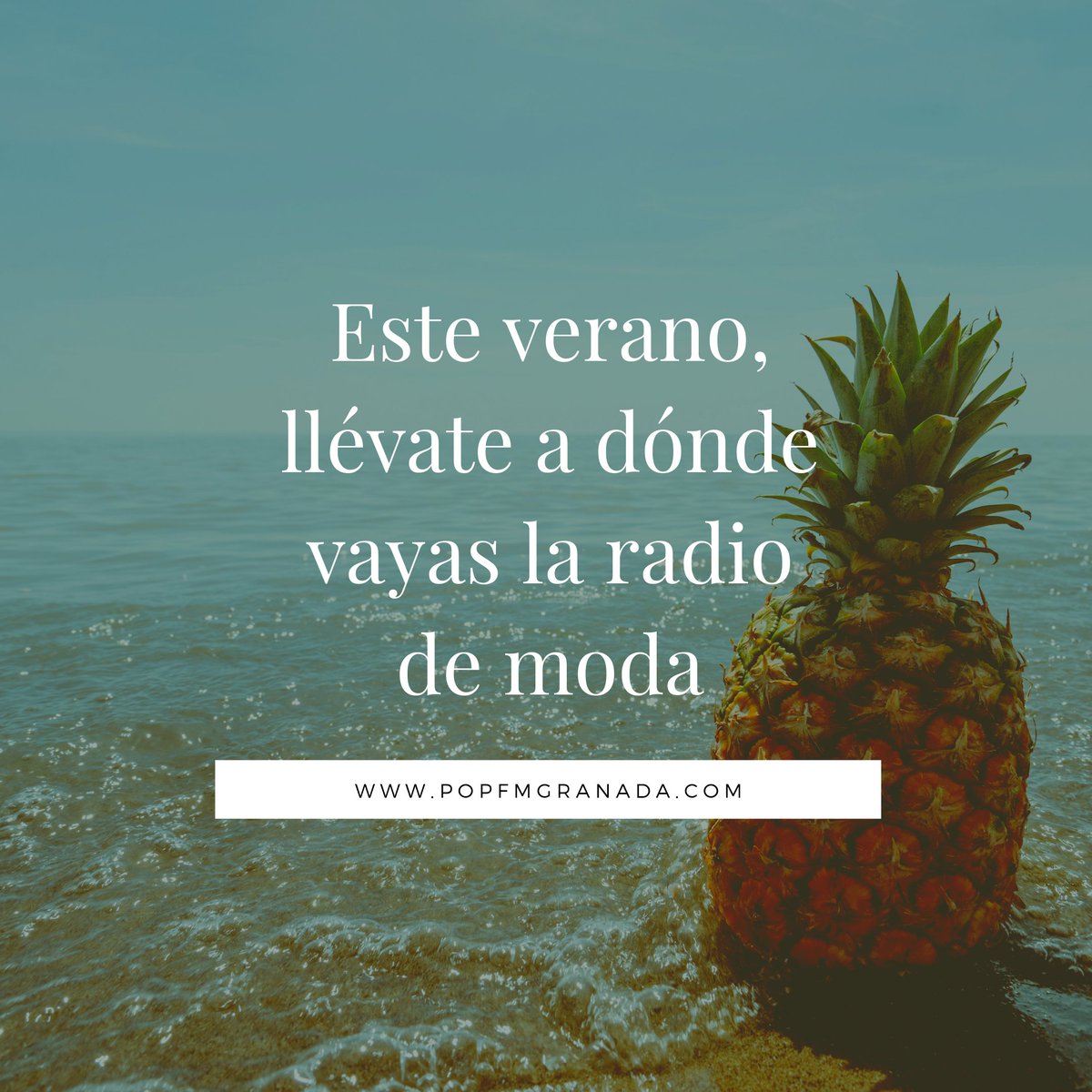 popfmgranada's tweet photo. Sin problemas de interferencias, entra en https://t.co/WLS5UPlZRJ o descarga nuestra app y escucha la radio de moda.
El mejor hilo musical para tu tienda, negocio u oficina.
#SoloNumeros1
#MegustaPopFM
#EnjoyTheMusic
#Verano2019 https://t.co/lqEDpMCEha