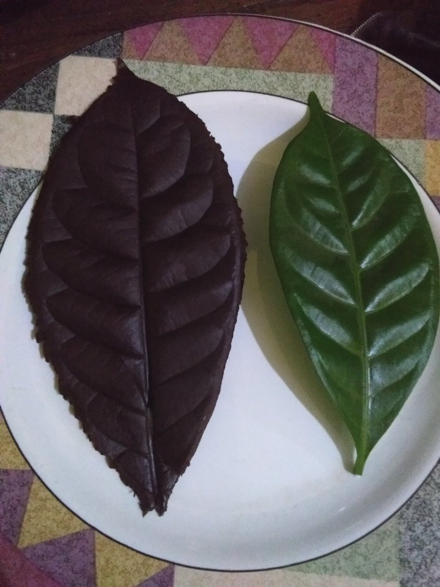 nangpawon's tweet photo. Yang unik buat rayakan Idul Adha besok #cokelat #beantobar #berdayapulih https://t.co/B7eUa4tMYA