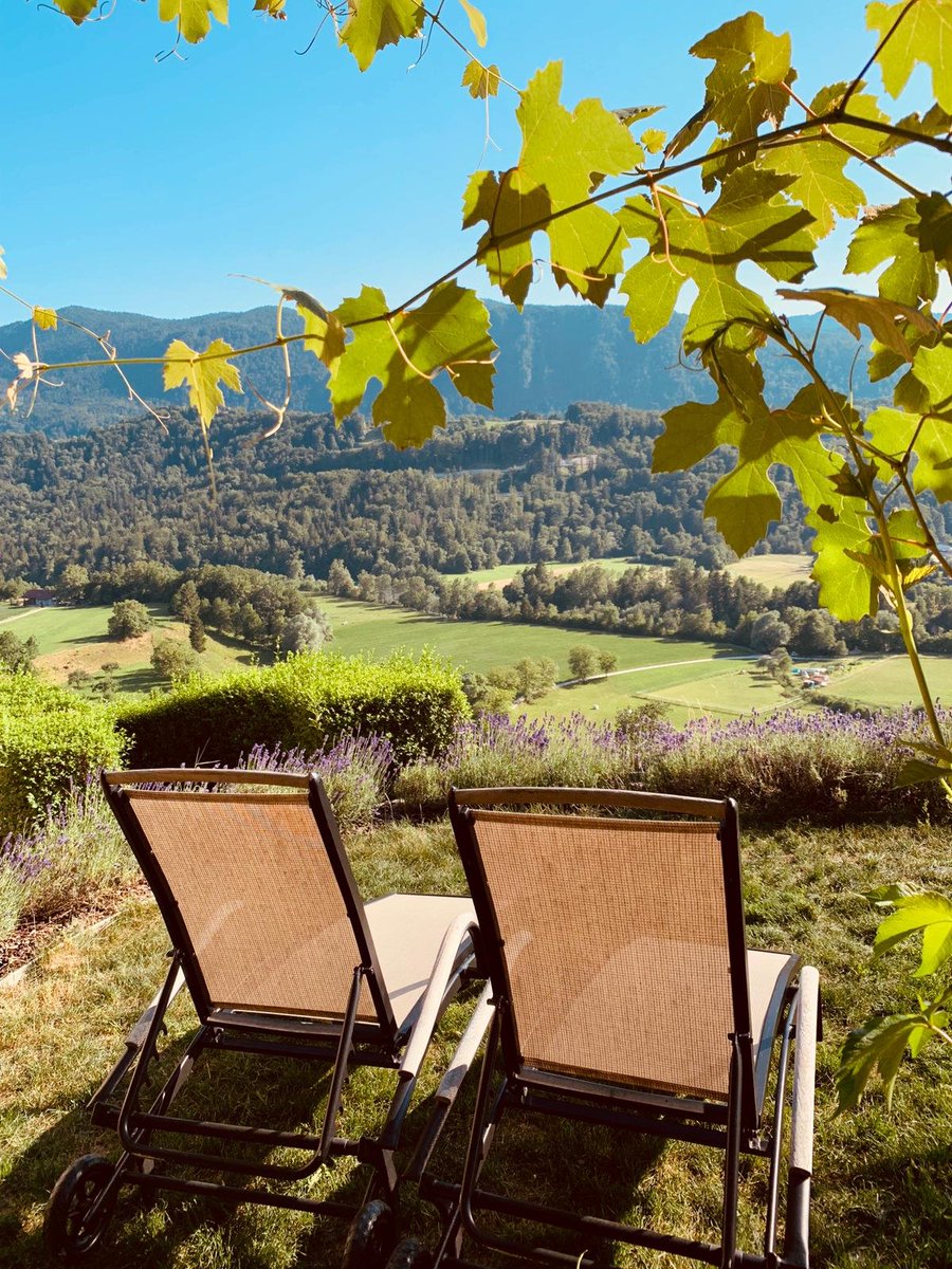 The garden at #Kunstelj opens up to an expansive view of the valley of the Sava river and in the distance you can see the Jelovica plateau and the white peaks of the Julian Alps. Enjoy! #lovelyday  kunstelj.si/en/