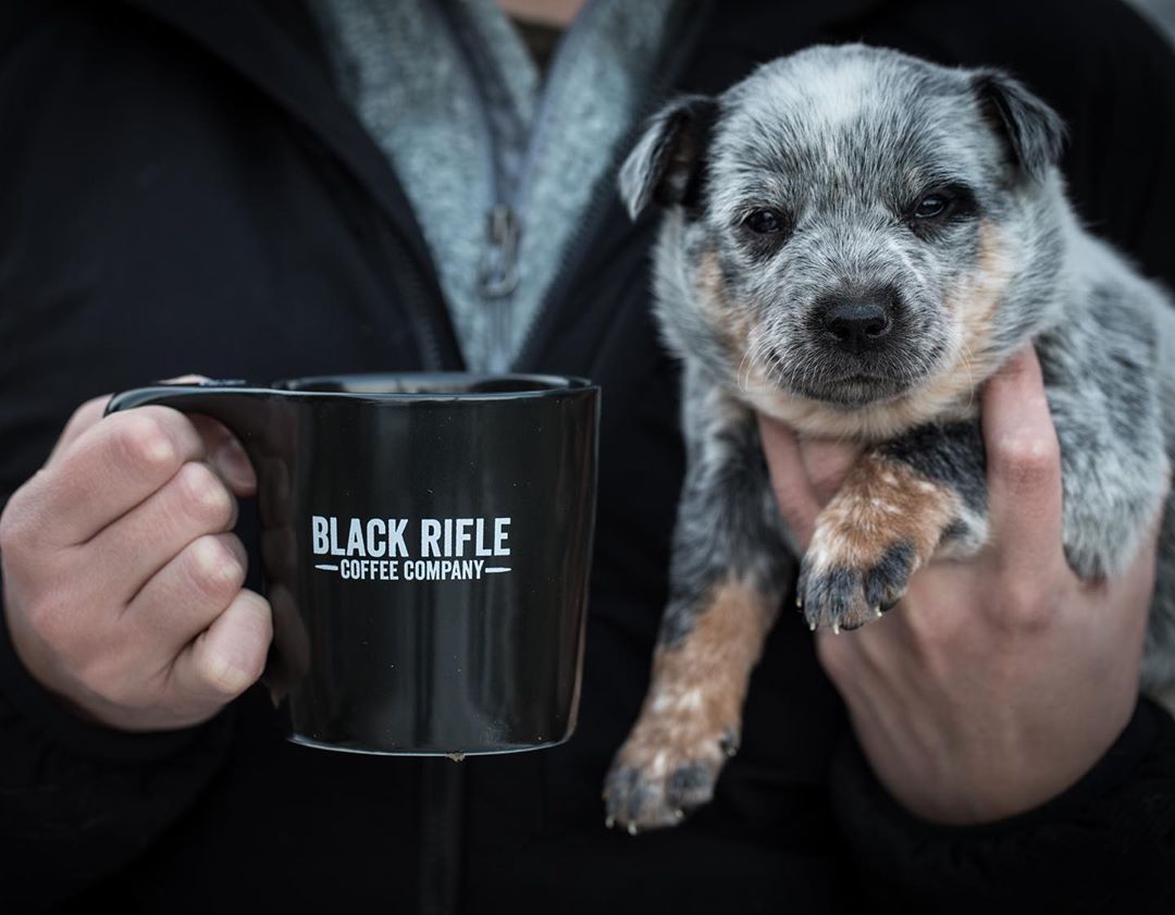 blckriflecoffee's tweet photo. What would make this day better? #brcc #americascoffee #dogsofblackrifle https://t.co/8TTq5xlCVK