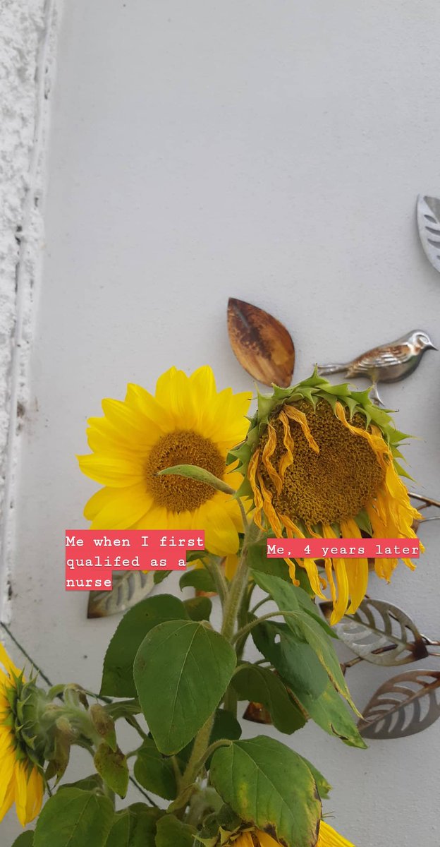 Jessica Moyo tweet media