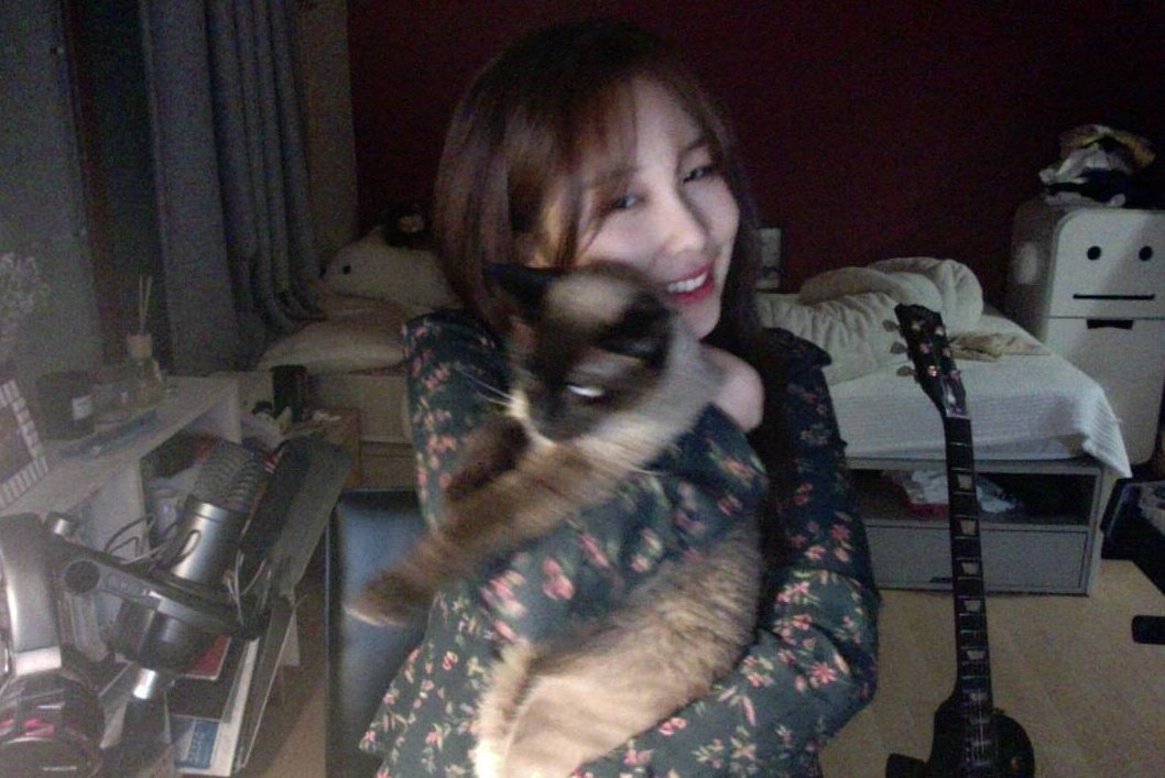 euijirnh's tweet photo. halo timlin! https://t.co/JzQ7uptzAL
