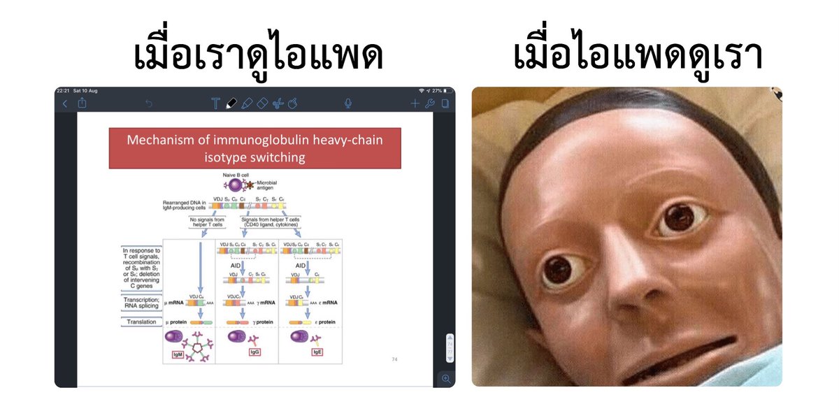 bemybobamilktea's tweet photo. ไม่มีอะไรอยู่ในสมองฉันเลย https://t.co/WrgYKaUn1y