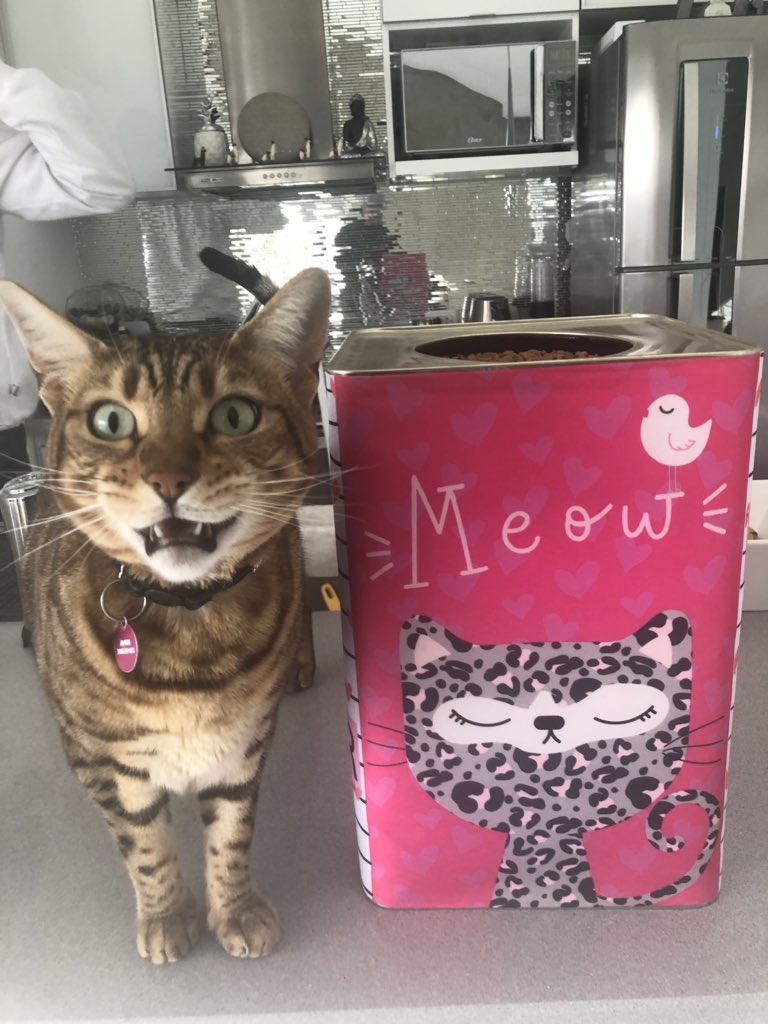 abrian09's tweet image. Ankh mi ❤️