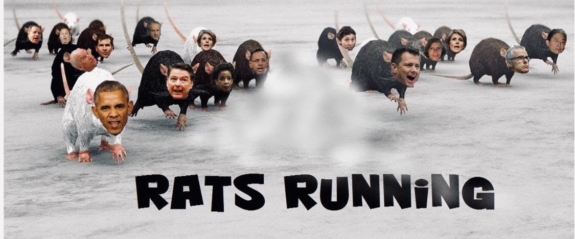 brodis409's tweet photo. Today Epstein, tomorrow who ?

Possible  Rats must be silenced by all means necessary.

#clintonbodycount #deathbyclinton https://t.co/OJzbLVhGa0