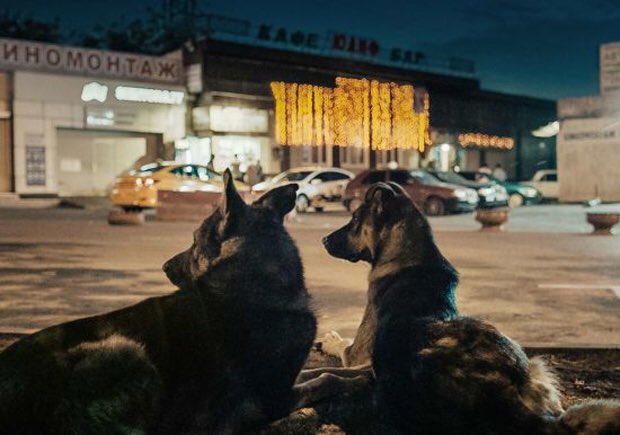 microcritik tweet media