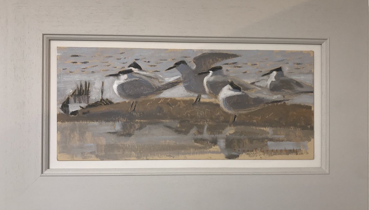 ryeartists's tweet photo. More birds from Robert Greenhalf. Sandwich Terns in oil and Curlews and WoodPigeons - a woodcut. Hanging in our upper gallery. We are open everyday 10.30-5.30 until August 25th #ryeartists #ryesocietyofartists #robertgreenhalf #birds #terns #pigeons #curlews #oilpainting #woodcut https://t.co/cwiCNE5LJ8