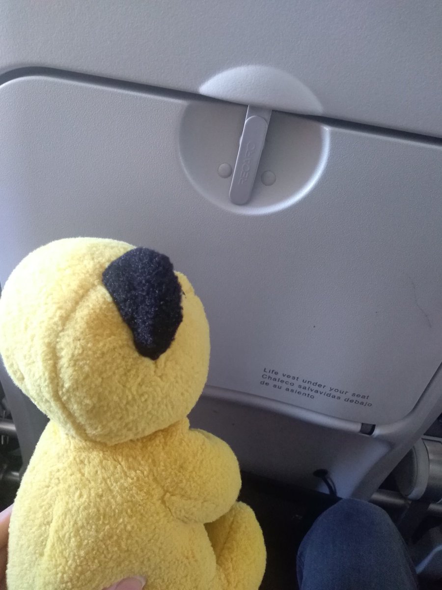 Never enough legroom on these things