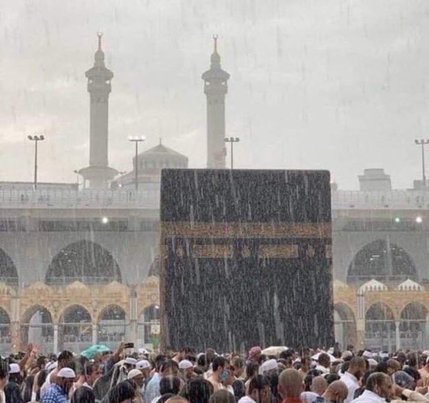 Sweet_Iife's tweet photo. #عرفات_الان
اللهّم كما أمطرتَ عرفّه، فامُطر دُعائهم ودُعائنا على قلوبنا بالإجّابه“💛 https://t.co/FKuKUSphwT