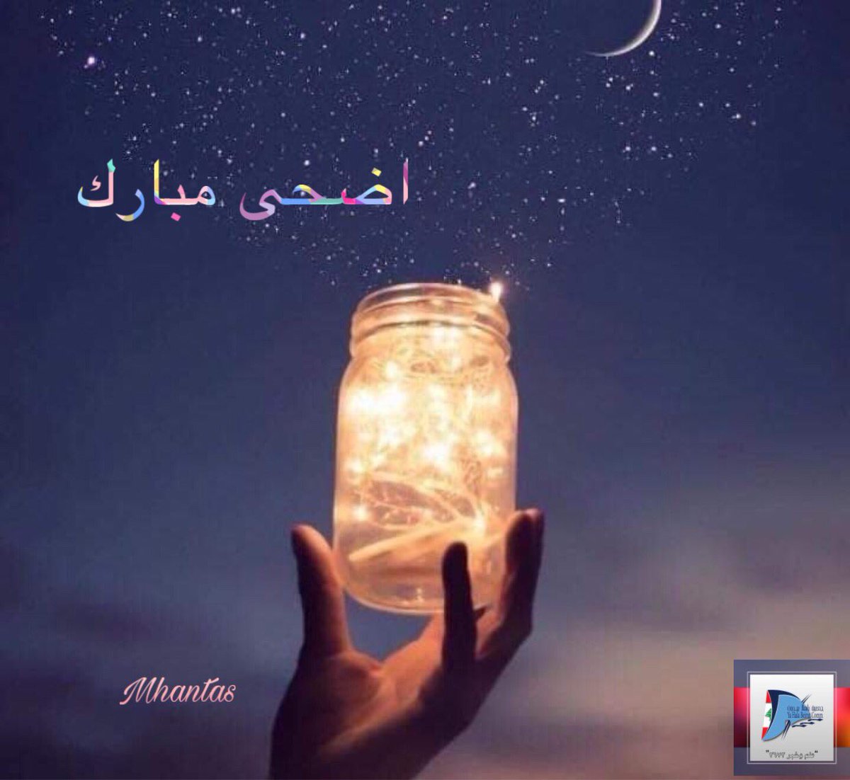 mounir_hantas tweet picture