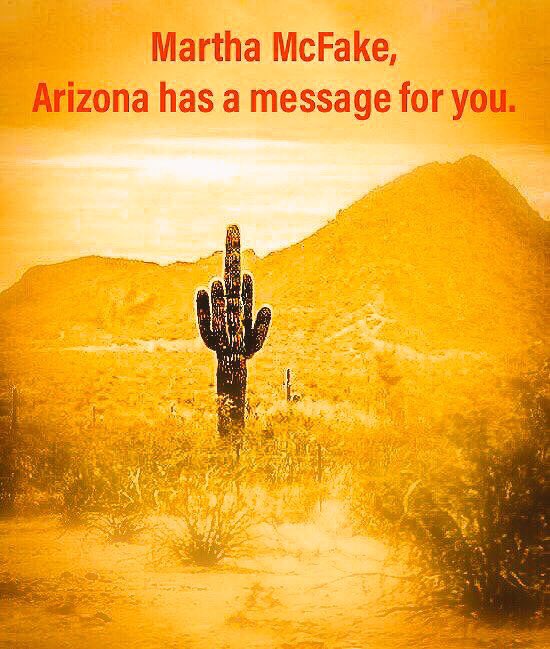 WhatNeon's tweet photo. @SenMcSallyAZ We don't need more military excersises run over civilians!?! And we do NOT need any more military in AZ. #RemoveMcSally #CloseLukeAFB https://t.co/fVrqp0SOmj