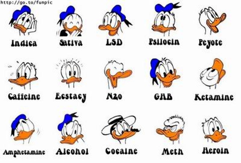 FlattenedGoomba's tweet photo. @AzurLane_EN Needs more expressions https://t.co/rpU1zajIL9