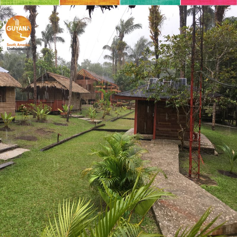discoverguyana's tweet photo. It rains in the rainforest; who knew. But this is what keeps Guyana's biodiversity lush and green Any guesses where this picture was taken? #discoverguyana#travelexperince #authentictravel #nature #conservationtravel #conversation #discovermore #arrowpoint #weekendgetaway https://t.co/R47xQvbBvb