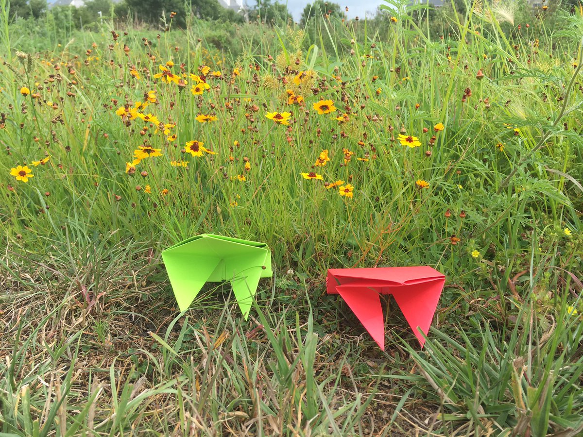 TheOrigamiFrogs's tweet photo. #origamifrogs https://t.co/Nytr4fgmgq