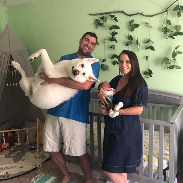 RealtorVReese's tweet photo. My wife and I holding our babies #newborn #wgsd #gsd #baby #newbaby #dogs https://t.co/iMoXhXiU7a https://t.co/9Gm0gV9Np6