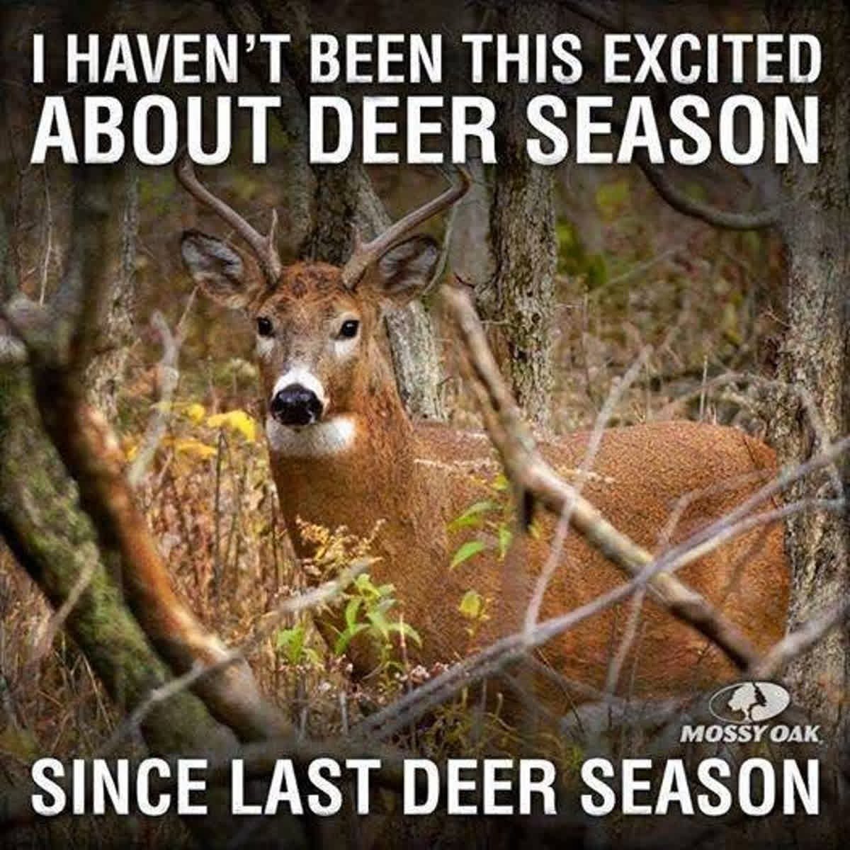 TenPT_Crossbows's tweet photo. Only 50 days until archery deer season starts in Ohio! Who else is counting down the days until season starts? #madeinamerica #tenpointcrossbows #crossbows https://t.co/58qTuvYKWD