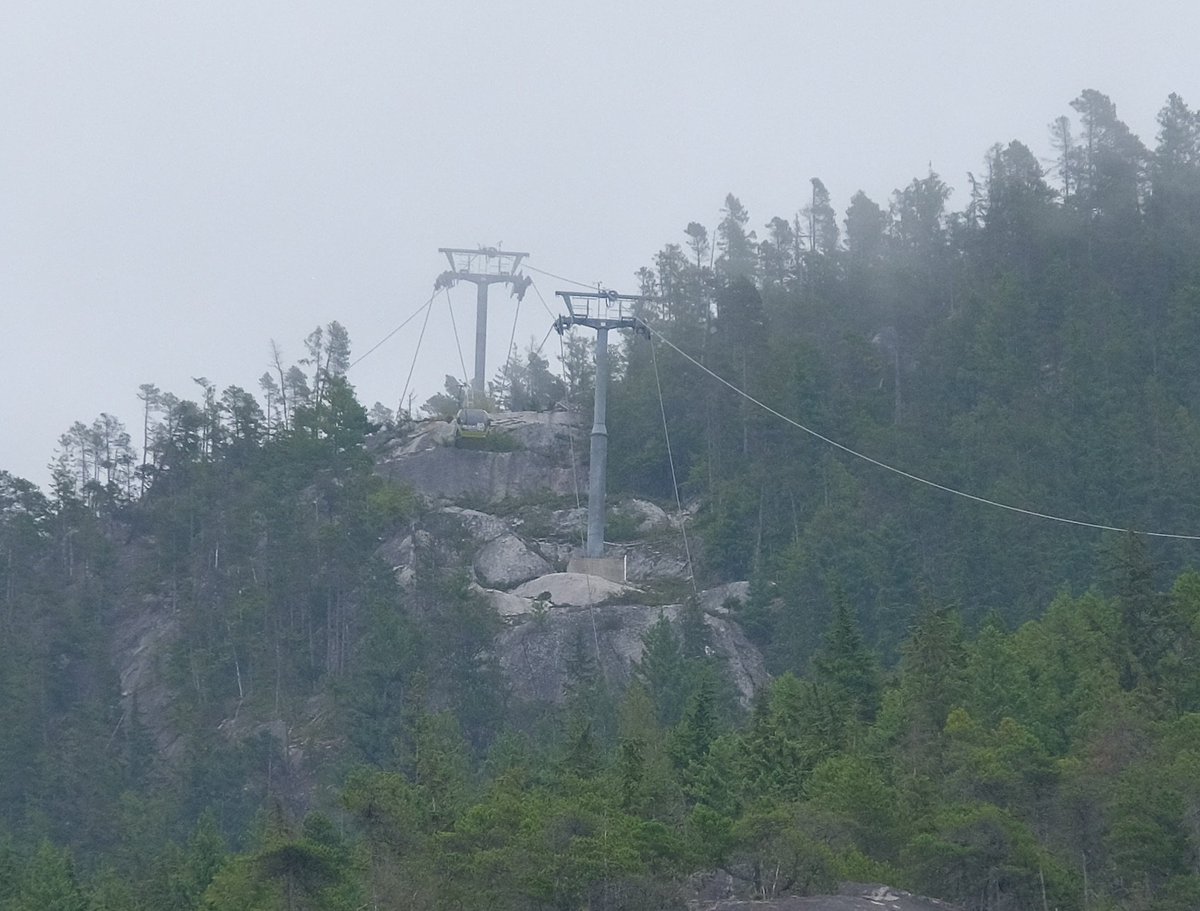 John Barry tweet media