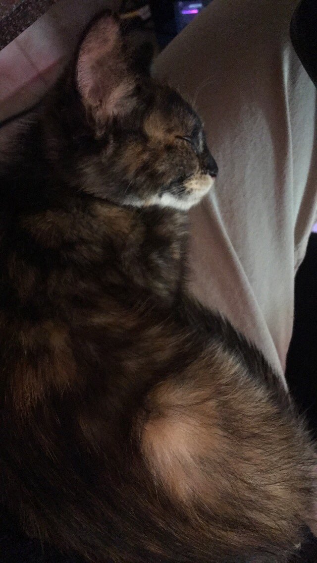 RedSabrie's tweet image. She is too adorable