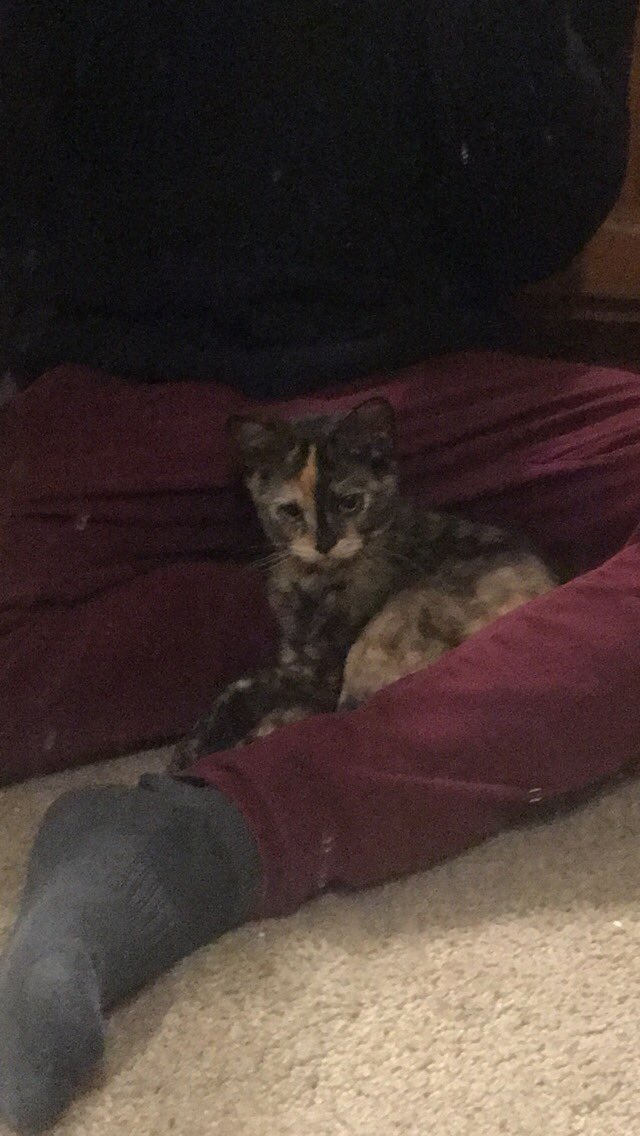 RedSabrie's tweet image. She is too adorable