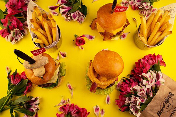 Hard Rock Medellín tweet media