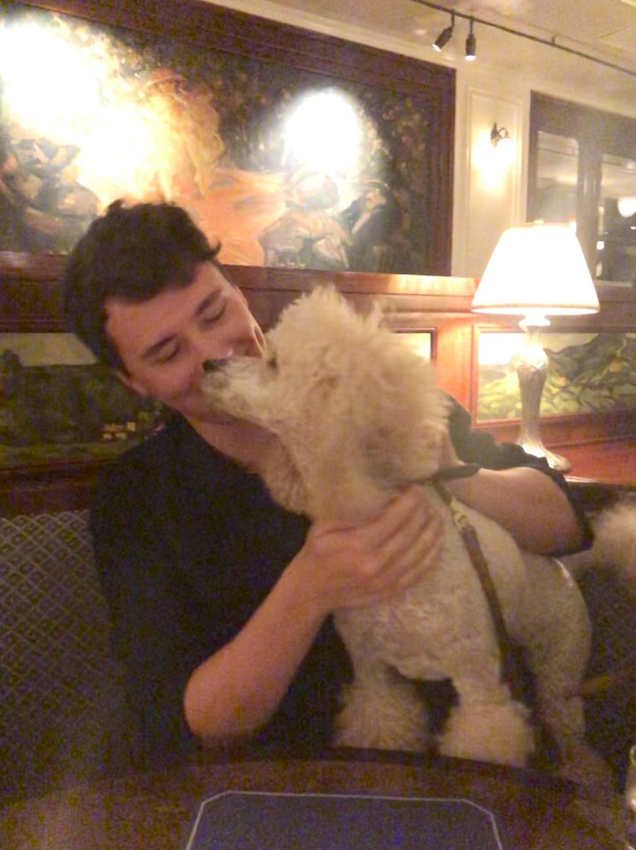 AmazingPhil's tweet image. Sat eating dinner when suddenly someone’s poodle jumped on the table and started licking Dan’s face??