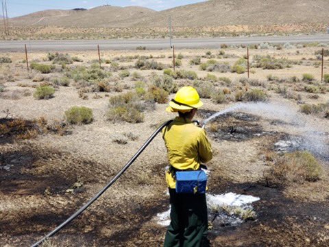 Nevada sophomore and track and field athlete, Shelby Garrison, spent her summer fighting fires! To all the firefighters out there, thank you for your service! 

#BattleBorn // #WeAreNEVADA