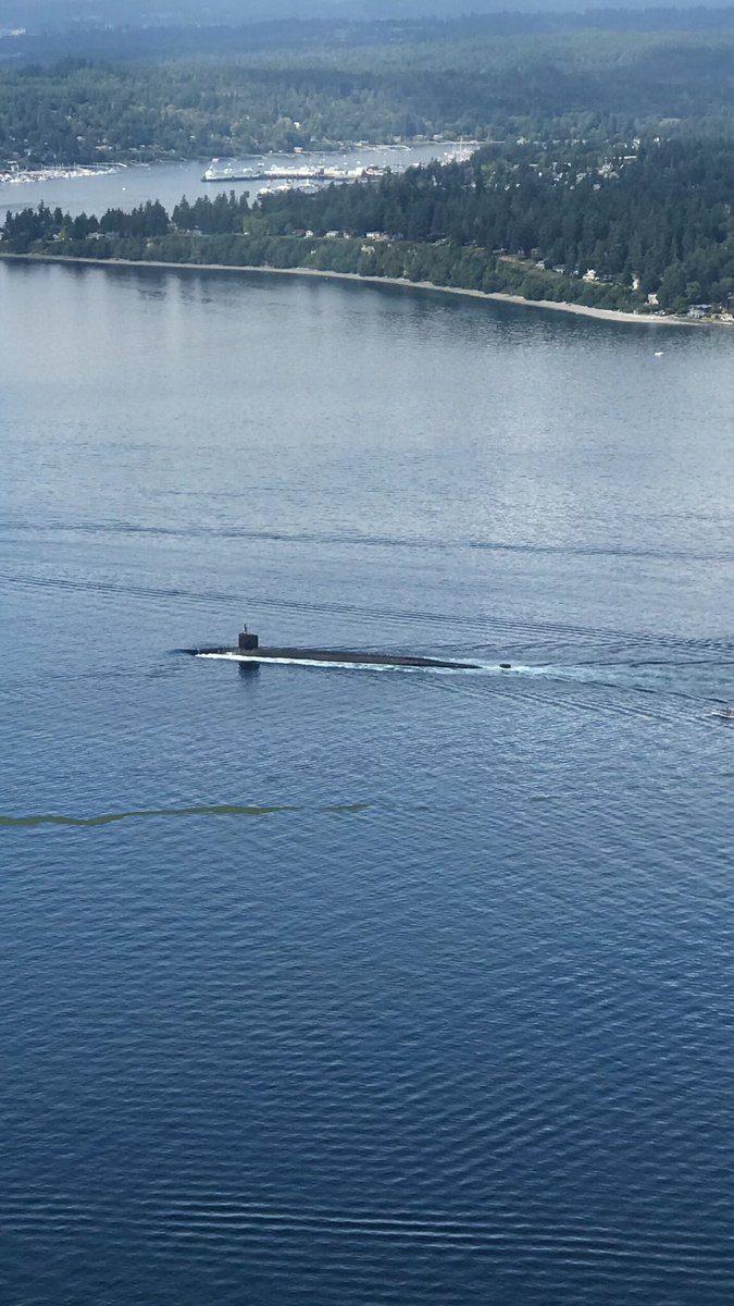 SeattleSeaplane's tweet photo. Strange looking orca spotted on a tour. Come check out the local wildlife! #seattleseaplane #seattle #seattlewa #style #PicOfTheDay #Wanderlust #travel #vacation #seattlewedding #seattlerestaurants #seattlelife #PNW https://t.co/WJOsaZvzwg