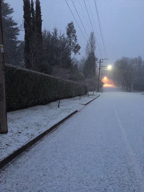 No, that’s not MtBuller - it’s MountMacedonRoad this morning after a fresh blanket of pure snow fell (&amp; b4 tourists arrive). Let it ❄️❄️❄️