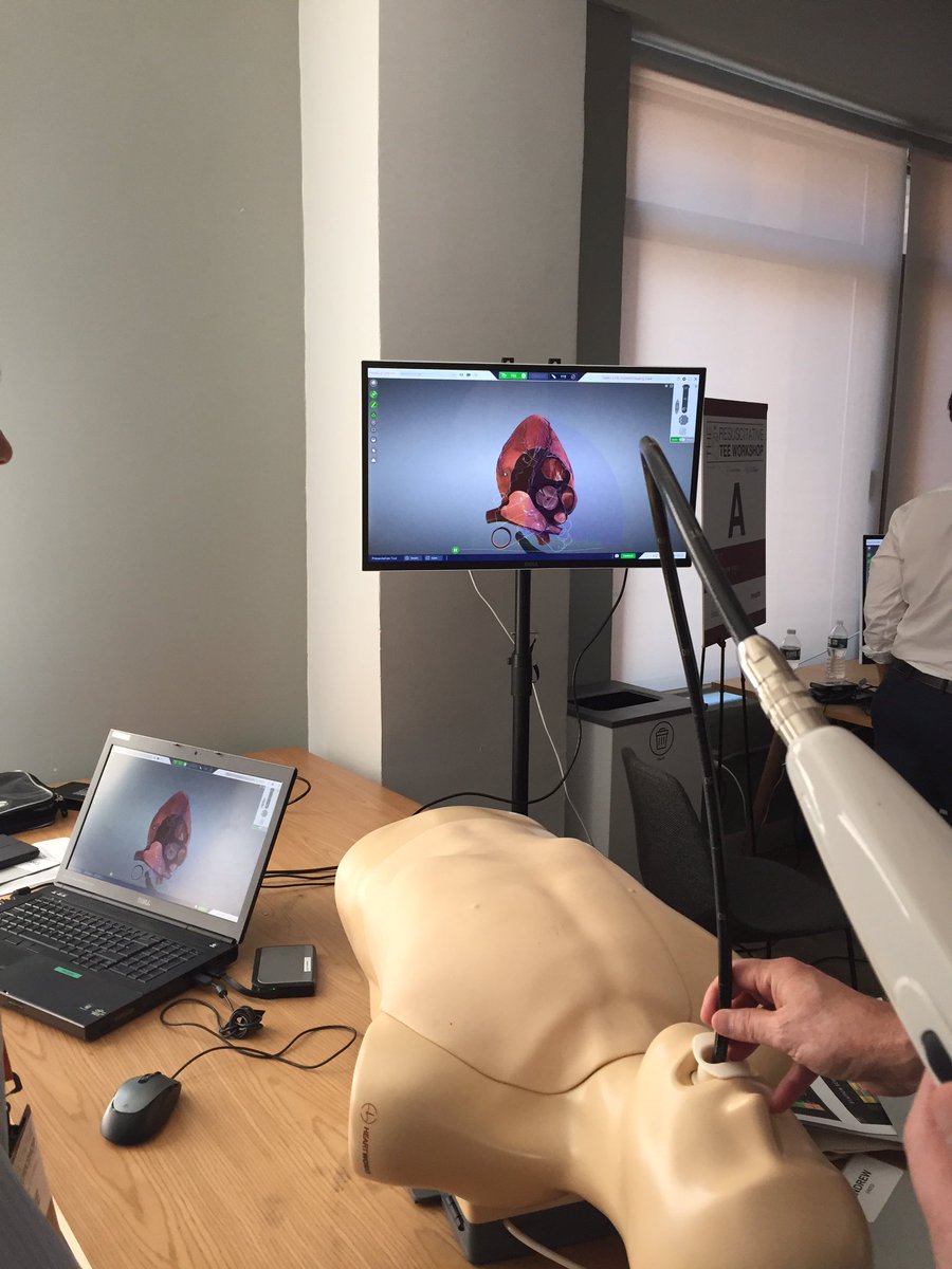 Andrew Fried tweet media