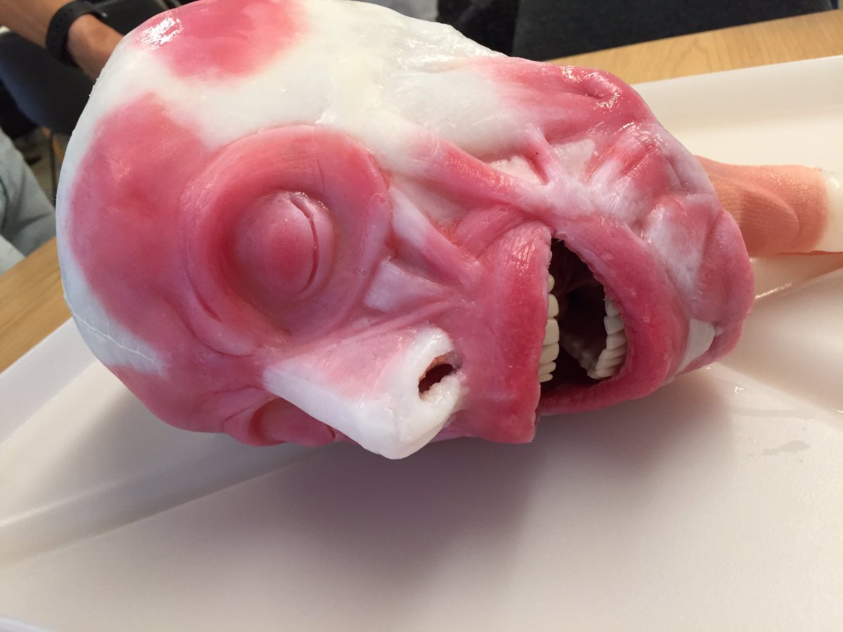 Had a fantastic time at <a href="/ResusTEEproject/">Resuscitative TEE Project</a> today with @ChrisAllison_VT. Excited and inspired! #MainePOCUS #ResusTEE <a href="/mackendc/">David Mackenzie</a>