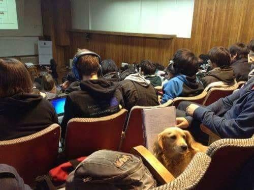 AnimoDeOfender_'s tweet photo. Todos haciendo comedia y escribiendo buen material original.

Diego parra un poco perdido de lugar. https://t.co/sGKWokZXjI