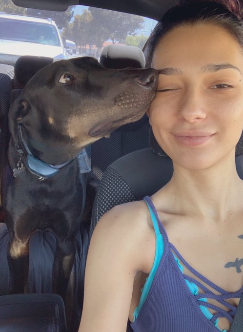 On my worst days he still loves me 🖤🐾 https://t.co/oU7hy0NSGk<a href="/tag/newprofilepic"class="tags"><span>#newprofilepic</span></a>